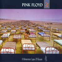 Momentary Lapse of Reason
