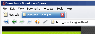 [ Image: Snook page without a favicon as seen in Opera ]