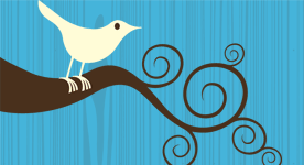 [ Icon: Twitter Bird ]