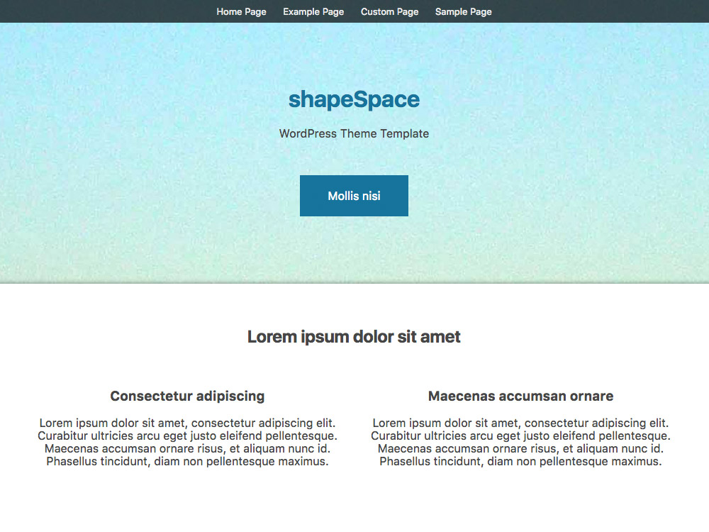 [ shapeSpace Design : Default Wide Layout ]